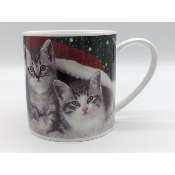 Kittens Christmas Santa Hat Photo Mug Bone China Rose of England Cat Lovers - Picture 2 of 8